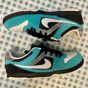 Nike Air Zoom Oncore Skater shoes